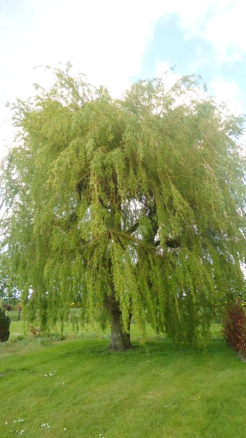 Au grand saule Villa Les Attaques Cameră foto